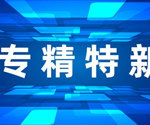 江苏金年会 金字招牌诚信至上荣获江苏省专精特新小巨人企业称号